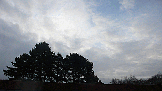 window view